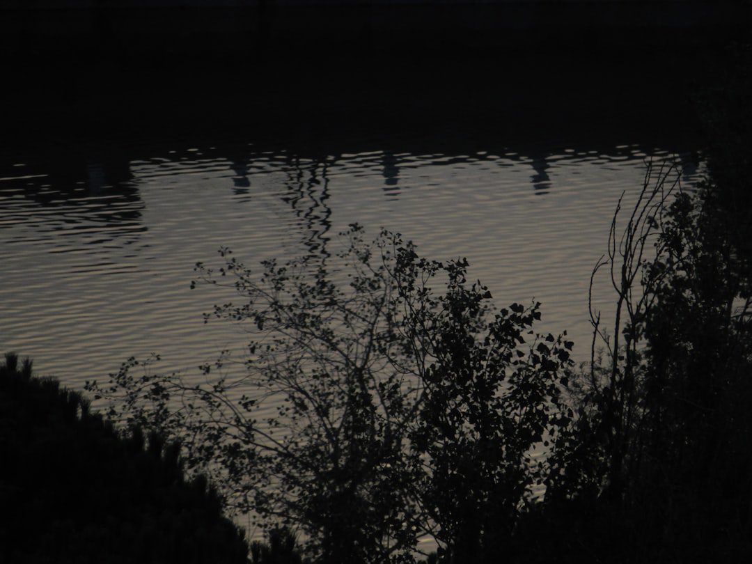 Bí ẩn truyện kinh dị sông nước miền Tây: nước không phản chiếu